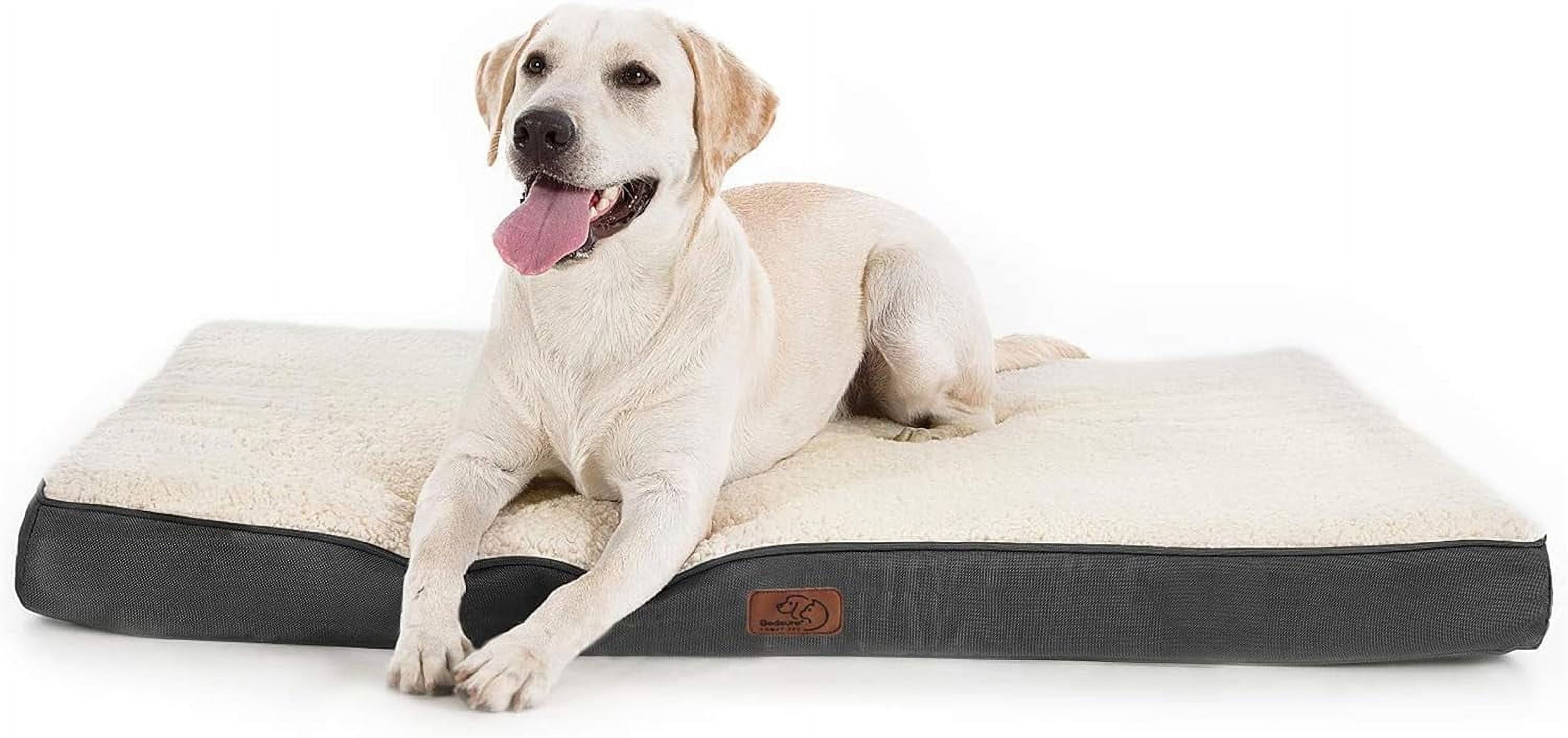 Cozy Comfort Dog Bed for Large Dogs - Big Orthopedic Dog Bed with Removable Washable Cover, Egg Crate Foam Pet Bed Mat, Suitable for Dogs Up to 65 lbs